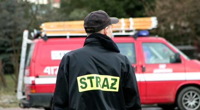 Borzęcin: Wielkie poszukiwania zaginionej Grażyny Kuliszewskiej – ZDJĘCIA