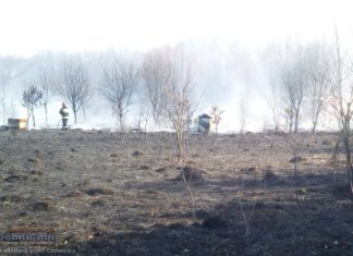 Rzezawa: Miliony pszczół zginęły w pożarze nieużytków