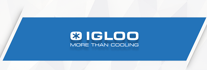 🔸 PRACA w IGLOO: Specjalista ds. wsparcia IT