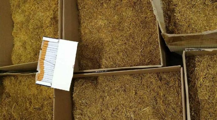 Nielegalna produkcja papierosów w gminie Bochnia