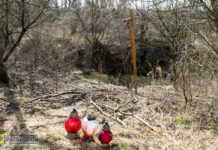 W poniedziałek próba identyfikacji zwłok wyłowionych z Uszwicy