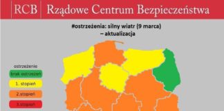 Bilans nocnej wichury: Połamane drzewa, zerwane dachy