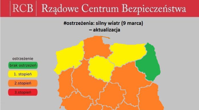 Bilans nocnej wichury: Połamane drzewa, zerwane dachy