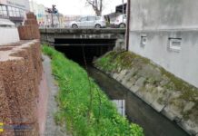 Rewitalizacja. Jest projekt zmian w budżecie. Dodatkowe 1,8 mln zł m.in. na remont przekrycia Babicy?