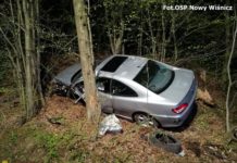 Święta na drogach Bocheńszczyzny. Dwa potrącenia motocyklistów i uderzenie w drzewo