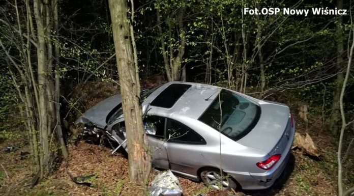 Święta na drogach Bocheńszczyzny. Dwa potrącenia motocyklistów i uderzenie w drzewo