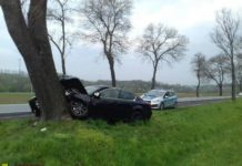 Brzesko. Wypadek na DK75. Samochód osobowy uderzył w drzewo – ZDJĘCIA