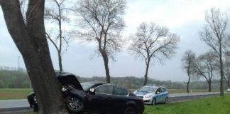 Brzesko. Wypadek na DK75. Samochód osobowy uderzył w drzewo – ZDJĘCIA