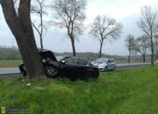 Brzesko. Wypadek na DK75. Samochód osobowy uderzył w drzewo – ZDJĘCIA