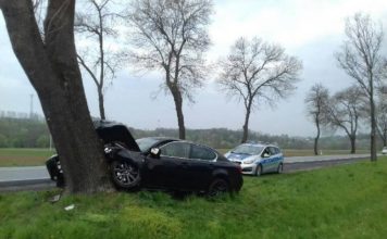 Brzesko. Wypadek na DK75. Samochód osobowy uderzył w drzewo – ZDJĘCIA