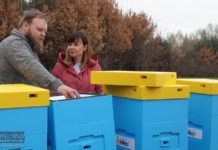 Przekazano 30 uli dla pszczelarza, który stracił pasiekę w pożarze traw – ZDJĘCIA