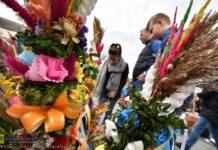 Niedziela Palmowa w Lipnicy Murowanej. Najwyższa palma ma ponad 37 metrów! – ZDJĘCIA