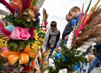 Niedziela Palmowa w Lipnicy Murowanej. Najwyższa palma ma ponad 37 metrów! – ZDJĘCIA