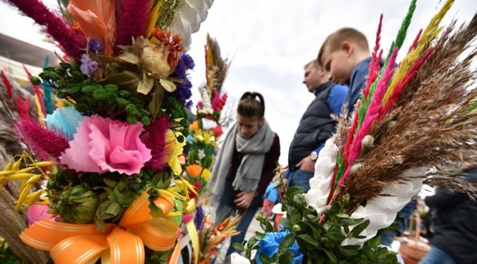 Niedziela Palmowa w Lipnicy Murowanej. Najwyższa palma ma ponad 37 metrów! – ZDJĘCIA