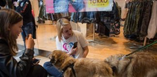 Akcja adopcyjna psów i kotów w galerii Rondo – ZDJĘCIA