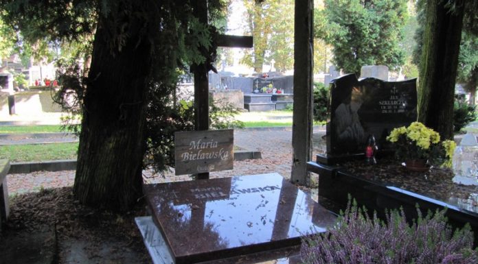 W niedzielę spacer po cmentarzu: „Ludzie książki”