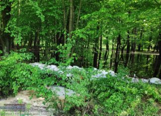 Duże rozlewiska tworzą się na północ od Puszczy Niepołomickiej – WIDEO