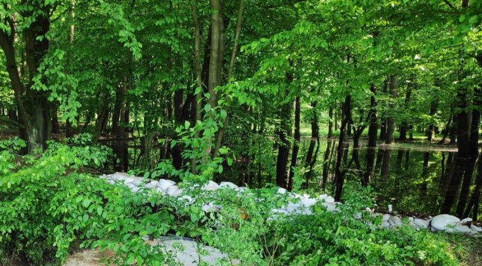 Duże rozlewiska tworzą się na północ od Puszczy Niepołomickiej – WIDEO