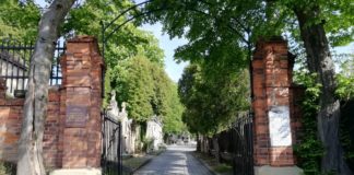 W niedzielę spacer po cmentarzu: „My deportowani”. W 80. rocznicę 1940-2020