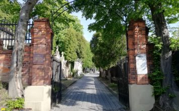 W niedzielę spacer po cmentarzu: „Historie rodzinne”