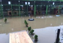 Schronisko w Borku zalane. Błyskawiczna akcja ewakuacyjna i zbiórka na odbudowę