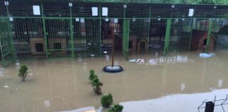 Schronisko w Borku zalane. Błyskawiczna akcja ewakuacyjna i zbiórka na odbudowę