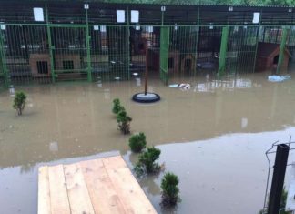 Schronisko w Borku zalane. Błyskawiczna akcja ewakuacyjna i zbiórka na odbudowę