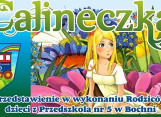 Charytatywny spektakl w wykonaniu rodziców dzieci z Miejskiego Przedszkola nr 5 w Bochni