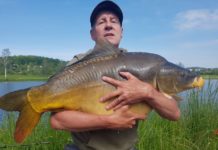 Olbrzymi karp złowiony w Łapanowie