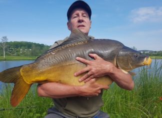 Olbrzymi karp złowiony w Łapanowie