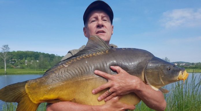 Olbrzymi karp złowiony w Łapanowie