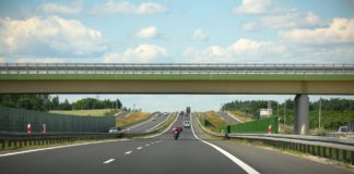 Bochnia. Zderzenie autobusu z łosiem na autostradzie A4