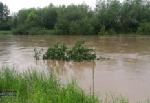 Stan alarmowy na Rabie w Proszówkach