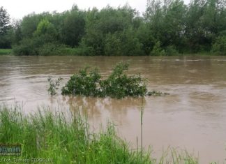 Stan alarmowy na Rabie w Proszówkach