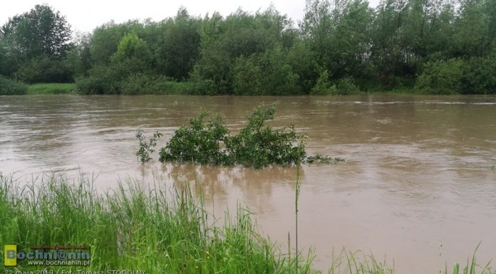 Stan alarmowy na Rabie w Proszówkach