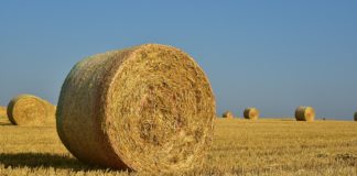 Jak zrobić energię z roślin? – WIDEO z panelu dyskusyjnego Reaktora B7