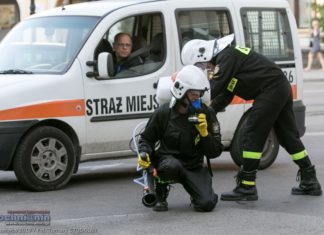 Bochnia. Z czym strażacy poszli na wojnę z komarami?