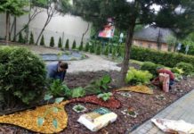 Specjalny Ośrodek Szkolno – Wychowawczy w Bochni tworzy ogród sensoryczny