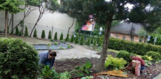 Specjalny Ośrodek Szkolno – Wychowawczy w Bochni tworzy ogród sensoryczny