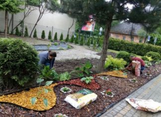 Specjalny Ośrodek Szkolno – Wychowawczy w Bochni tworzy ogród sensoryczny