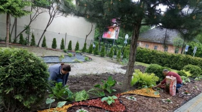 Specjalny Ośrodek Szkolno – Wychowawczy w Bochni tworzy ogród sensoryczny