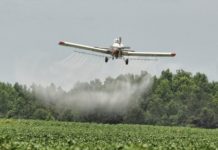 Drwinia. 300 tys. zł na walkę z komarami. Będą opryski z powietrza?