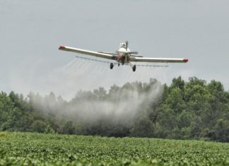 Drwinia. 300 tys. zł na walkę z komarami. Będą opryski z powietrza?
