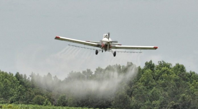 Drwinia. 300 tys. zł na walkę z komarami. Będą opryski z powietrza?