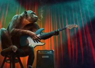 Nie będzie kultury bez kultury