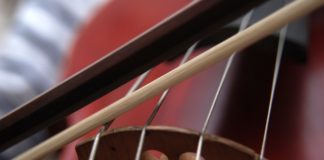 W czwartek w Bibliotece koncert „Na strunach”