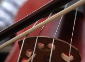 W czwartek w Bibliotece koncert „Na strunach”