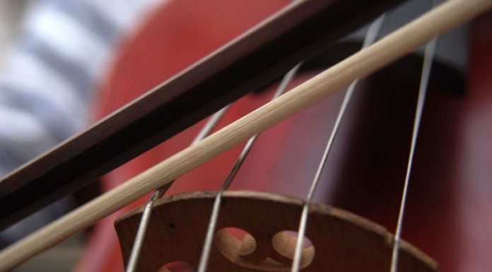 W czwartek w Bibliotece koncert „Na strunach”