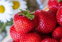 W Rajbrocie wybiorą Miss Truskawki