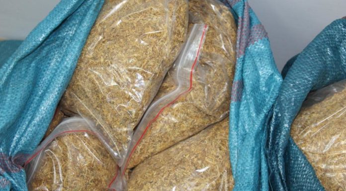 Czchów: Nielegalny tytoń w bagażniku